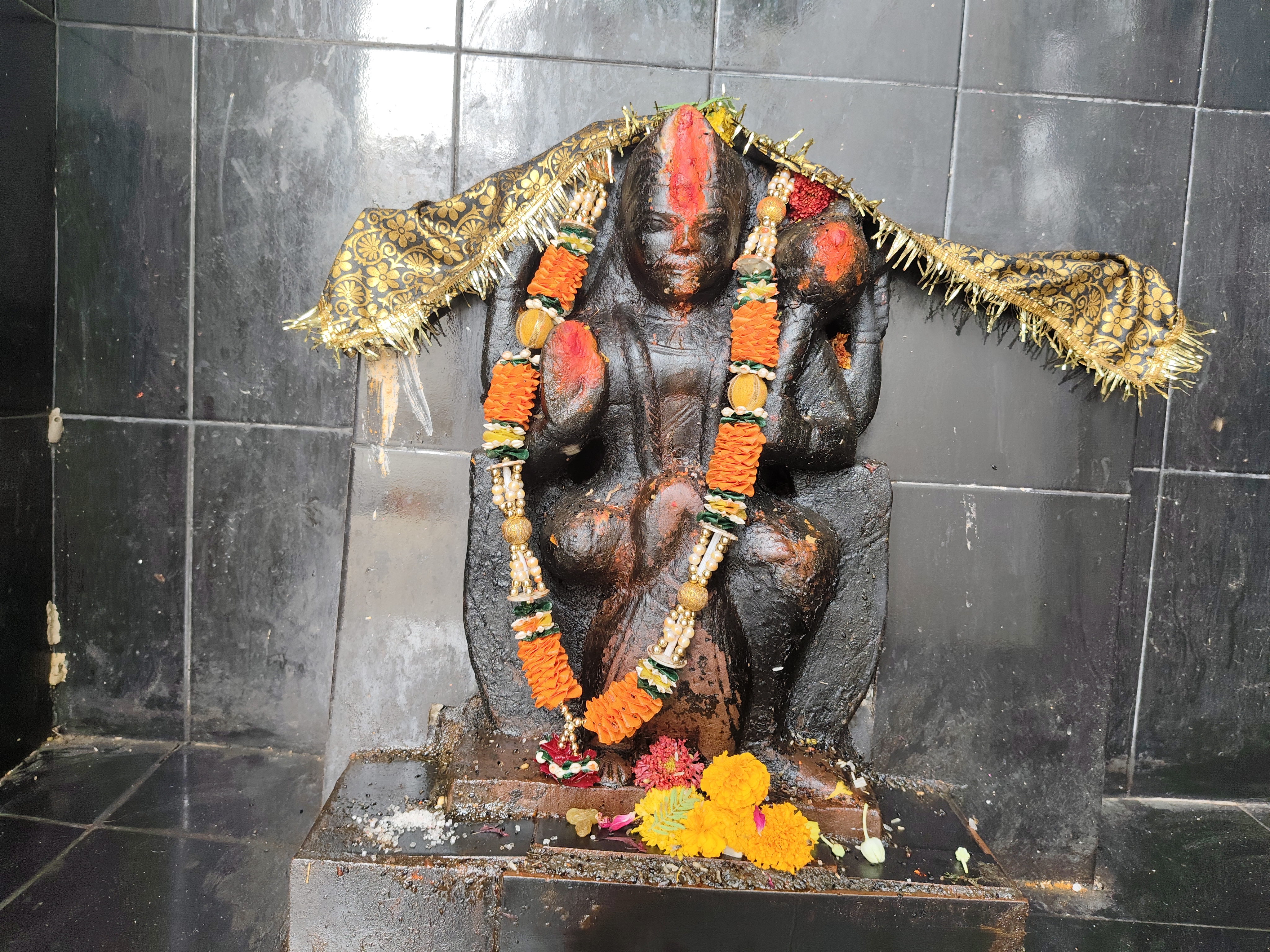 Campaign image 9