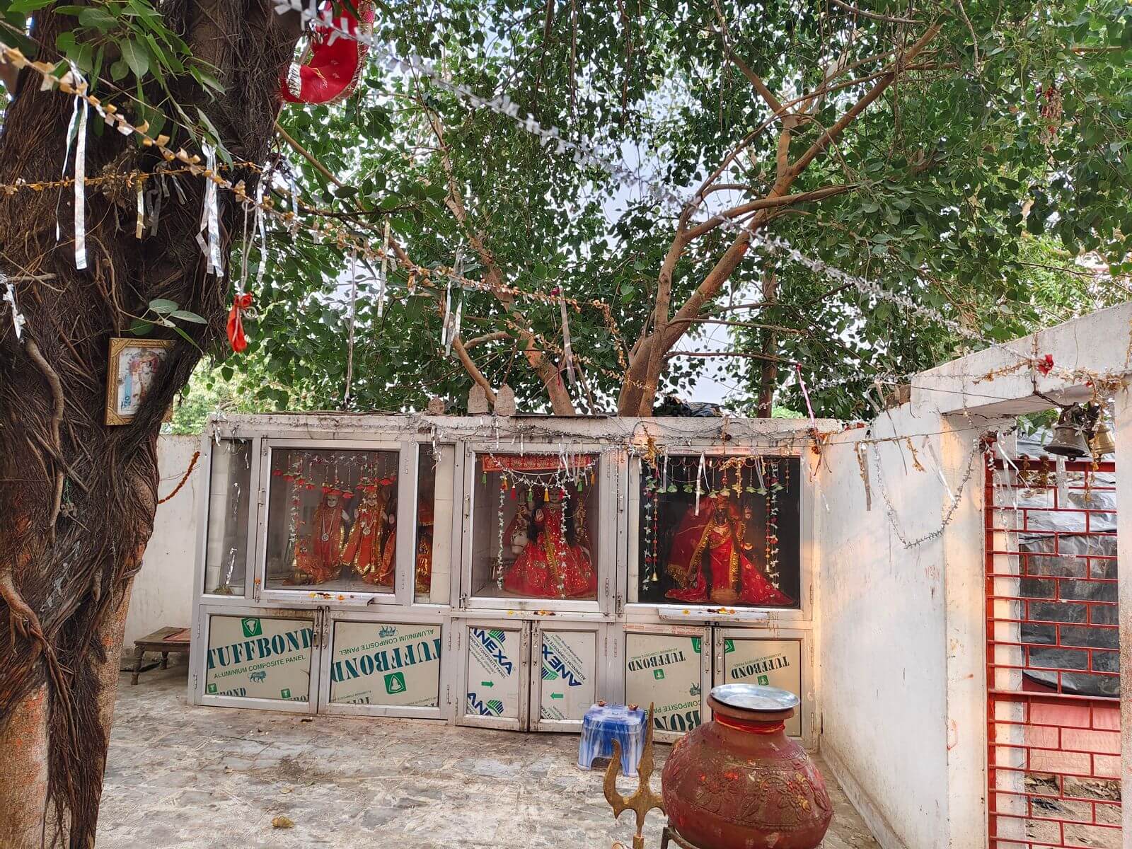 Campaign image 6